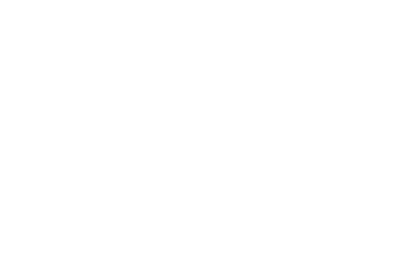 Logo weiß Neuschmied